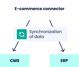 Catalog synchronization 