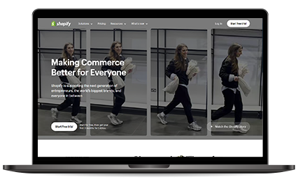 Addons shopify